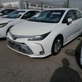 Toyota Corolla 2022
