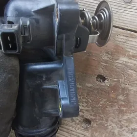 termastat kareyka matorynki