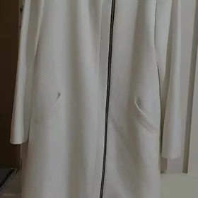 платье и пальто