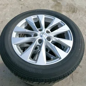 Nissan disge pakrişga 17