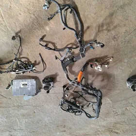 Duty kemiri tok komp pyrastoy