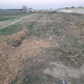 Gurtly yer 12,5 sotak