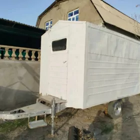 Prisep Polprisep 2025