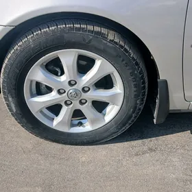 16 diska okuzkelle le