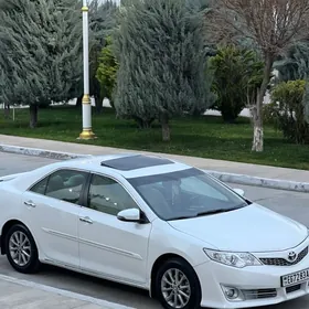 Toyota Camry 2014