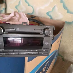 carolla magnitafon radnoy