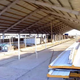 Iri şahly mal ferma