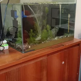 продаётся аквариум