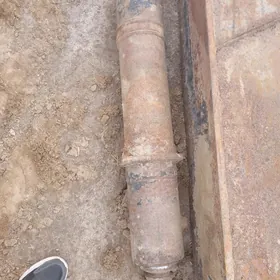 galiçanen kran ayaklari