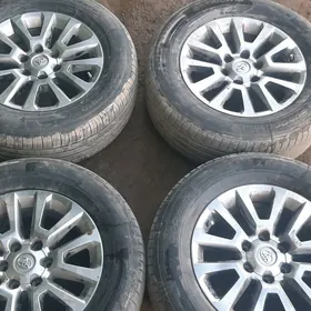 18 disga prado arginal