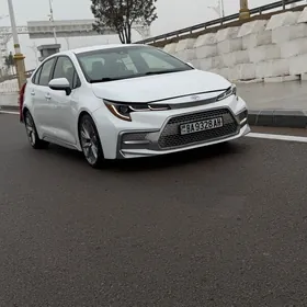 Toyota Corolla 2020