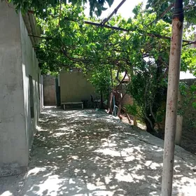 jangada plan jay satlyk