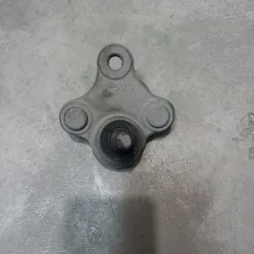 Şarawoý Hyundai Elantra