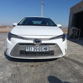 Toyota Corolla 2023