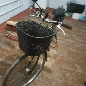 SATLYK TIGIR(WELOSEPED)