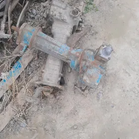 belarur rlwoý ýagdaýy gowy