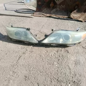 Donuz kele far.2011.