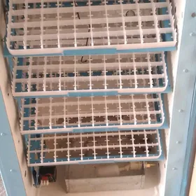 инкубатор inkubator