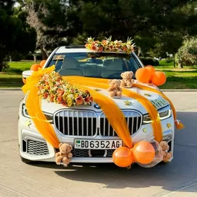 caga masyn bezeg mersedes bmw