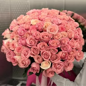 Melek Gulleri roza 24/7