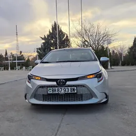 Toyota Corolla 2021