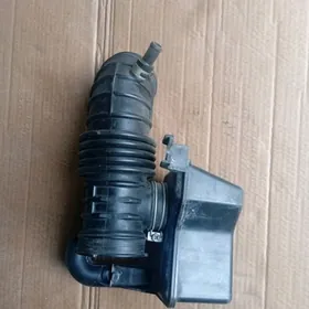 pathfinder wozh patrupka