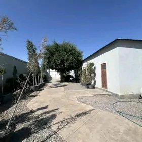 Bagyr Mirewe 8sotok arzan