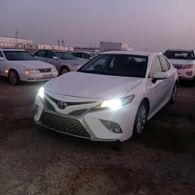 Toyota Camry 2019