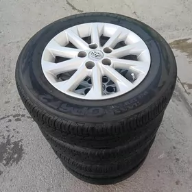 palta kemri disga pakrysga