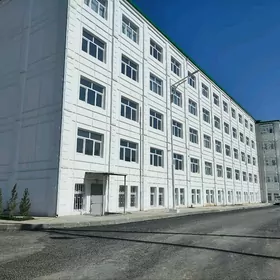 Anew Merkezi ofis, bisnes