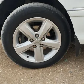 Okuz kelle zawadskoy diska