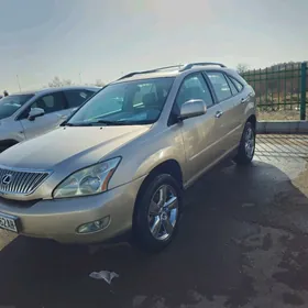 Lexus RX 330 2004