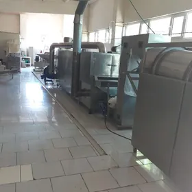 PATRAK-Sehe işgär gelin-gyzlar