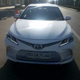 ищу работу водитель