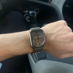 Apple Watch 8  Steinles 100