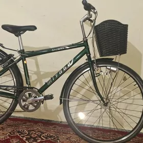 tigir yaposka 27 welo