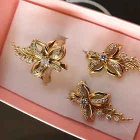 kumus gyzyl cayylan solmayan