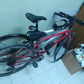 Tigir Orginal Spartiwnyy