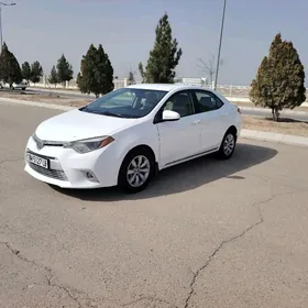 Toyota Corolla 2014