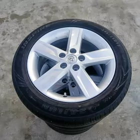 palta cemry 17 argynal