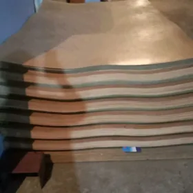 PANER KRAGYZ ORUS  ARKALYK