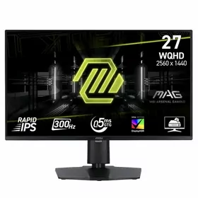 MSI MAG 27" IPS 2K 300Hz!