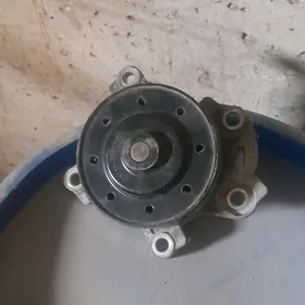 Водяная помпа