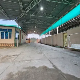 Eyesinden boş howly