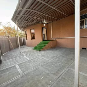 satlyk eyesinden jay