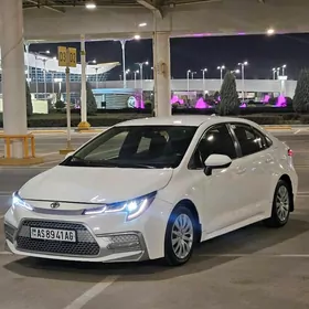 Toyota Corolla 2022
