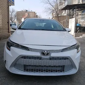 Toyota Corolla 2022
