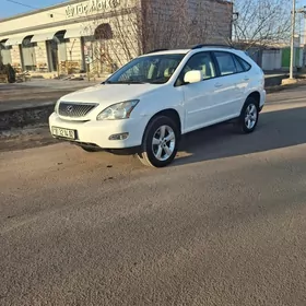 Lexus RX 330 2004