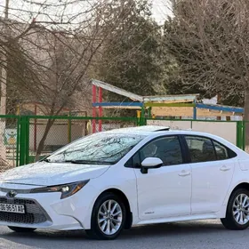 Toyota Corolla 2019