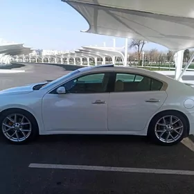 Nissan Maxima 2010